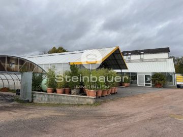 Erwerbsgartengrundstück mit Entwicklungspotential, 65201 Wiesbaden, Industriehalle