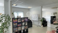 Büro - Helle, kompakte Büro-/Servicefläche in Nordenstadt **Provisionsfrei**